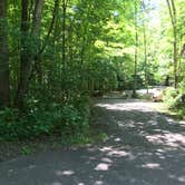 Review photo of William O'Brien State Park Campground by Krista T., July 1, 2020