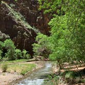 Review photo of Zion Canyon Campground by Iris M., July 1, 2020
