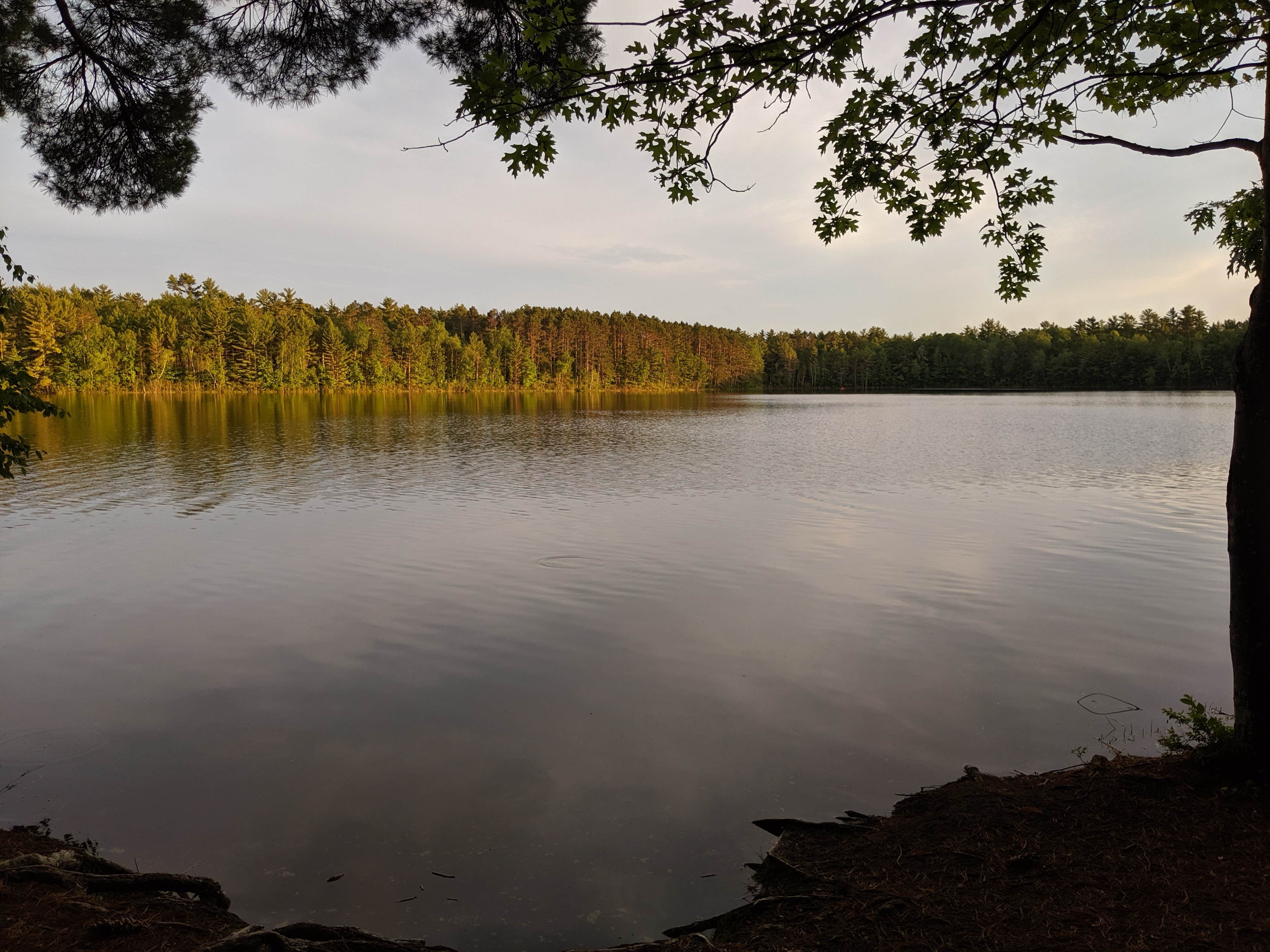 Nature
