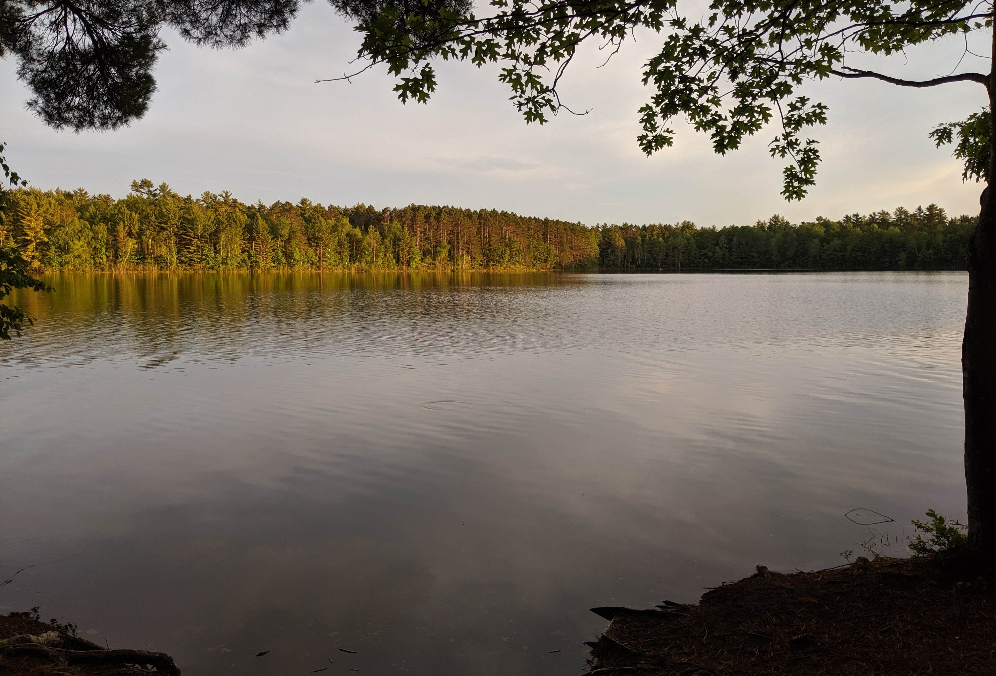Sayner Firefly Lake — Northern Highland - American Legion State Forest Camping ...