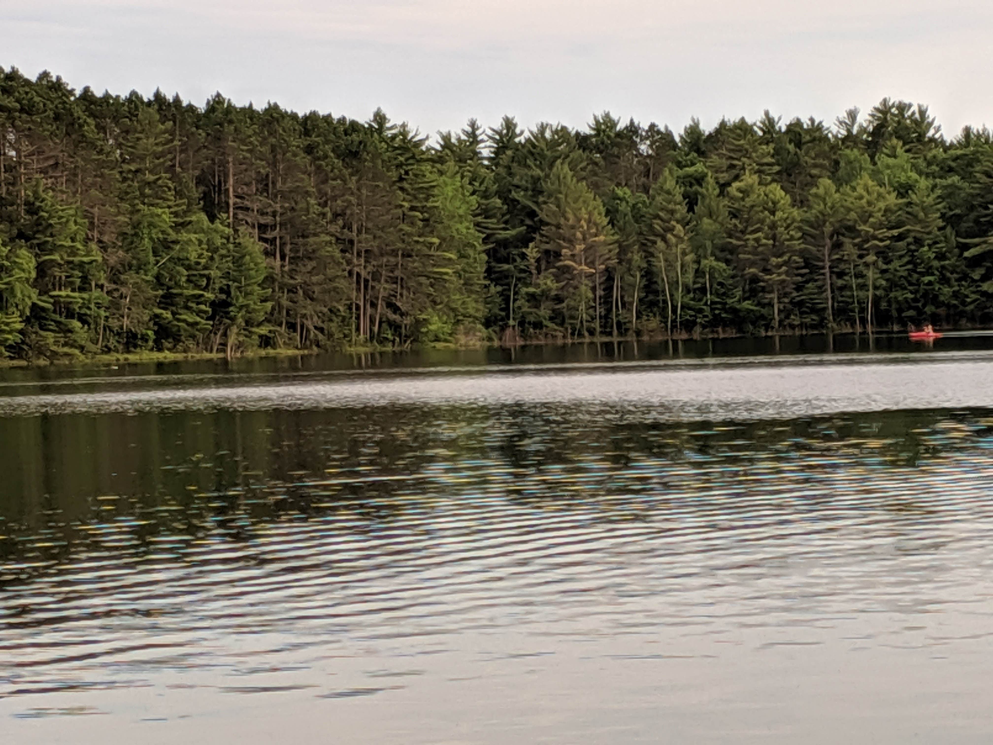 Northern Highland American Legion State Forest Jag Lake Group
