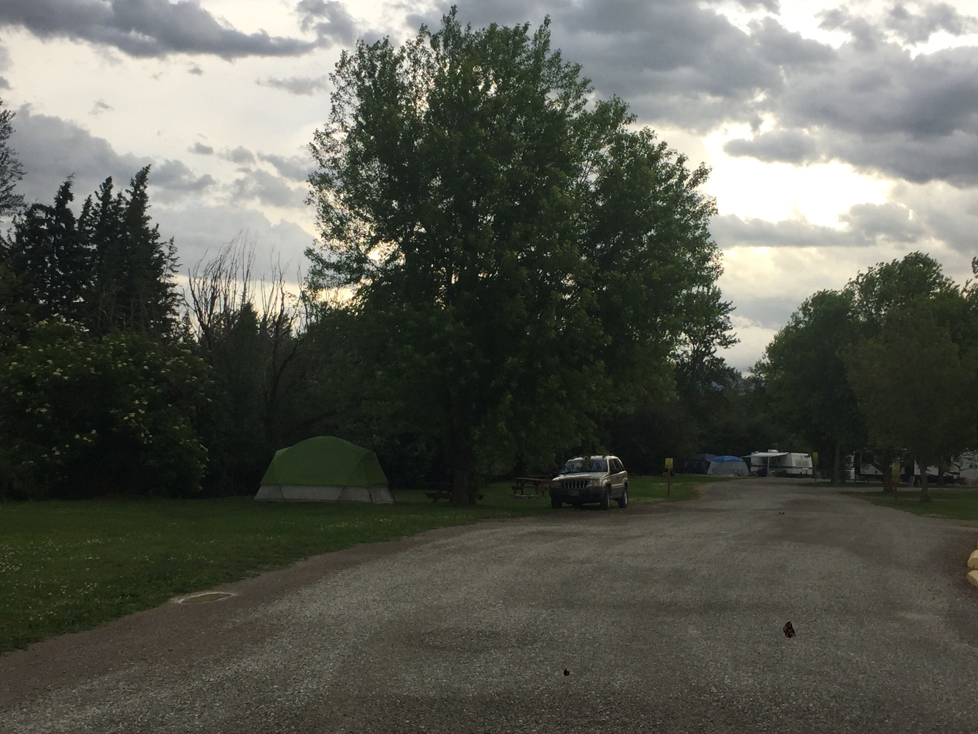 Camper submitted image from 3 Bears Campground and RV Park - 4
