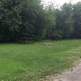 Review photo of 3 Bears Campground and RV Park by Bjorn S., July 1, 2020