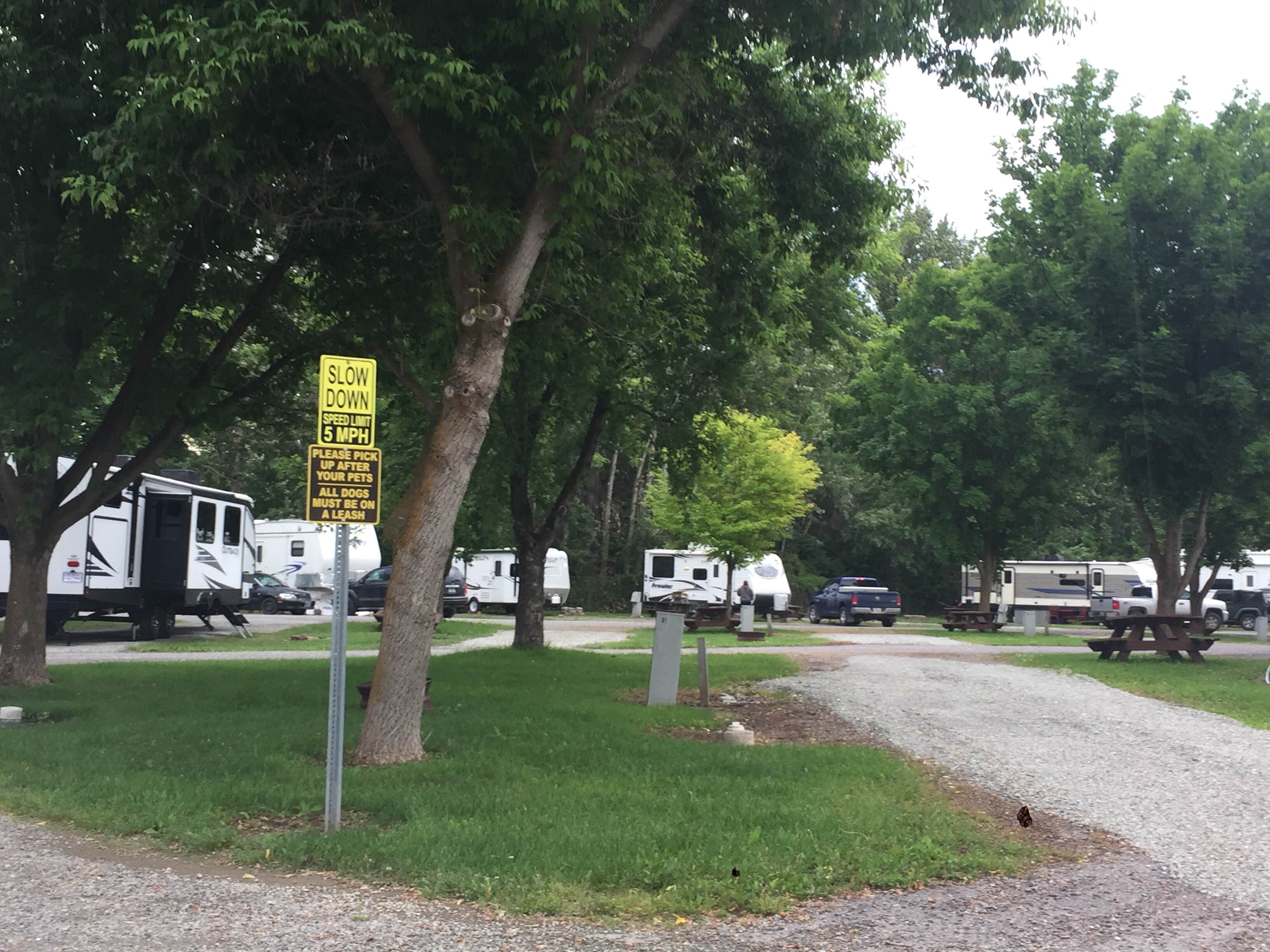 Bjorn S.'s photo of rv camping at 3 Bears Campground and RV Park near Somers, MT