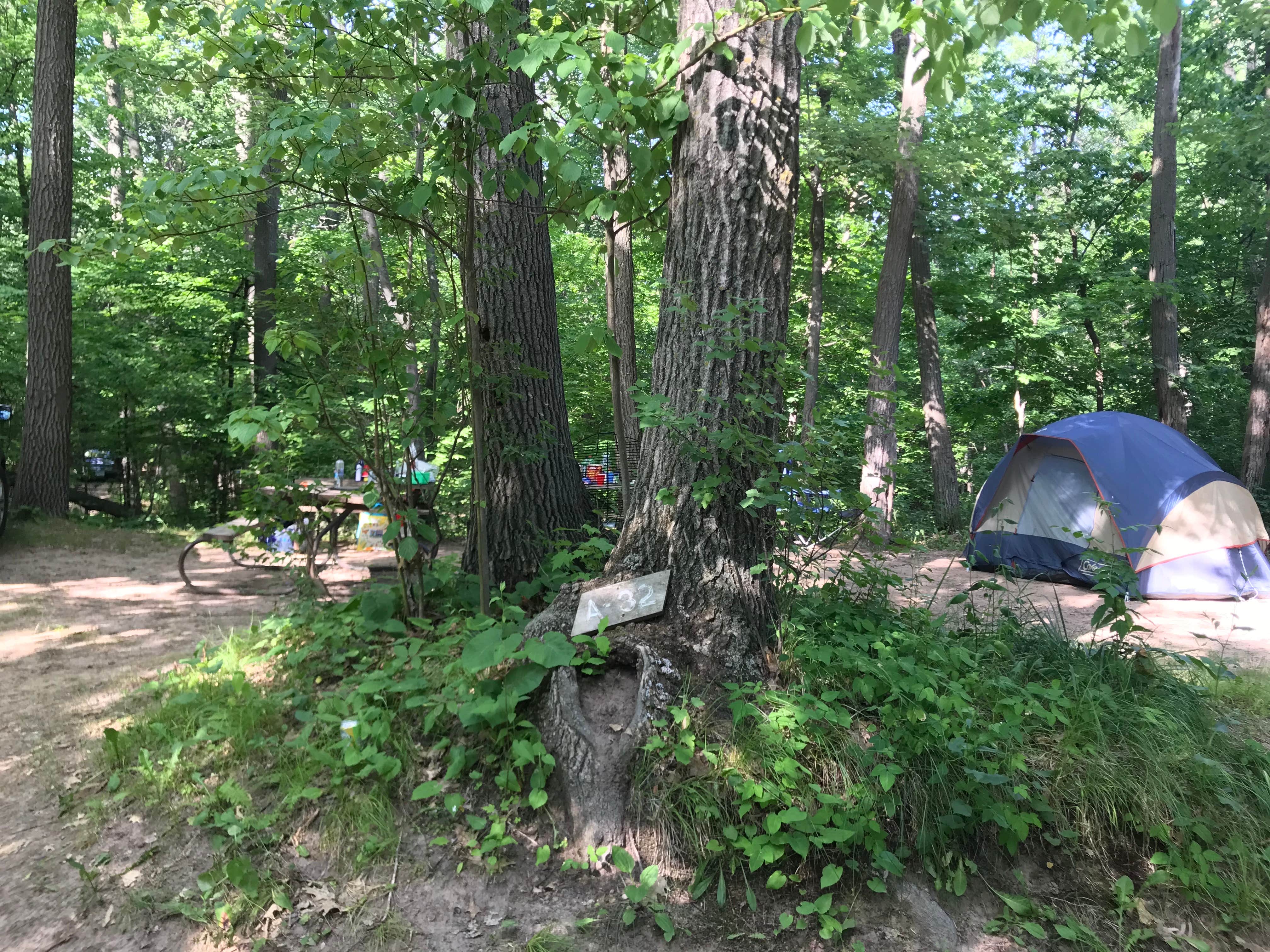 Camper-submitted photo at Camp Waub-O-Jeeg near St. Croix Falls, WI