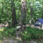 Review photo of Camp Waub-O-Jeeg by Krista T., July 1, 2020