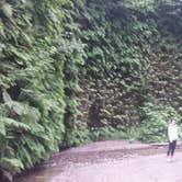 Review photo of Gold Bluffs Beach Campground — Prairie Creek Redwoods State Park by PATRICK S., July 2, 2016