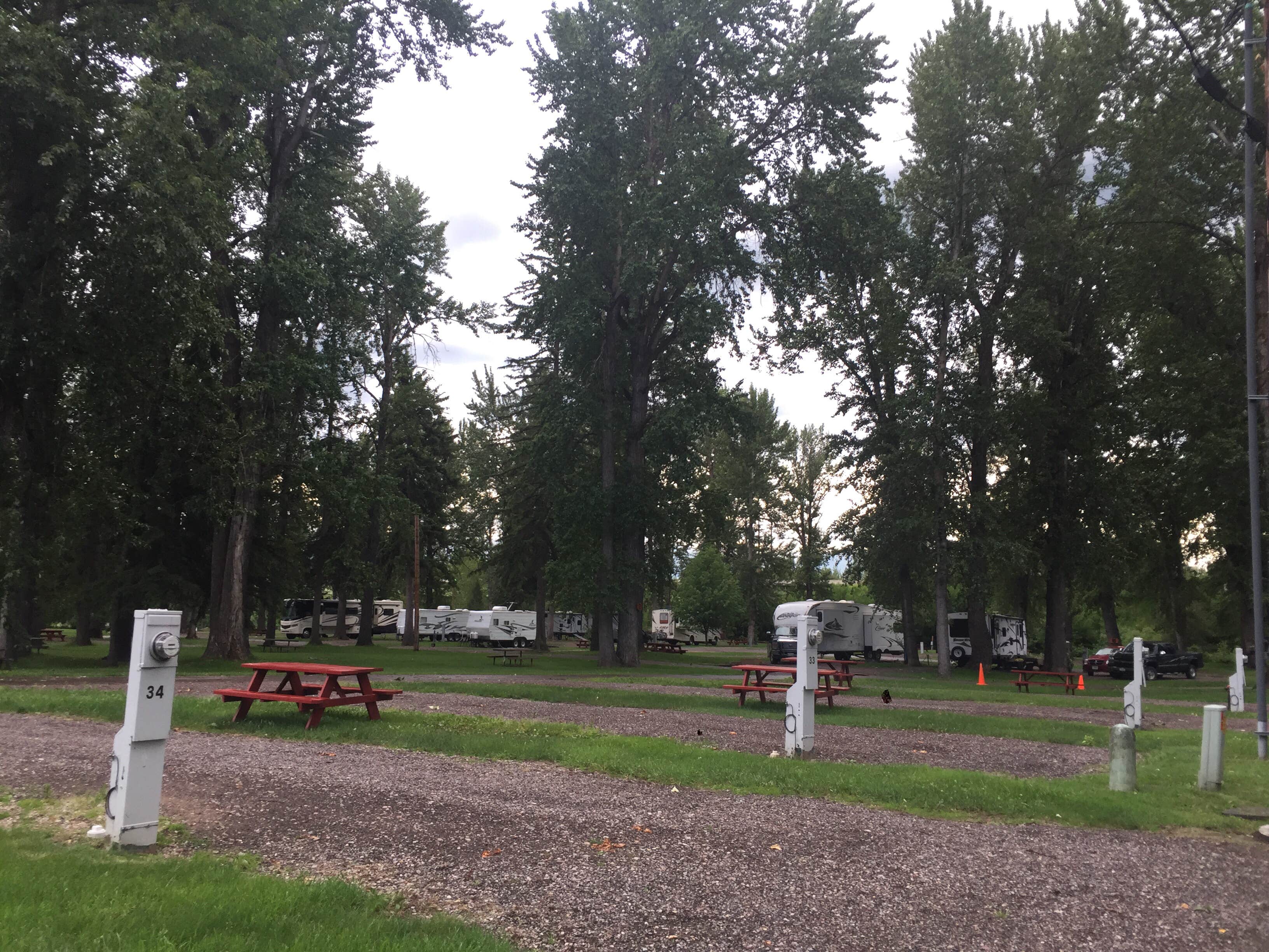 Camper-submitted photo at Spruce Park On The River near Kalispell, MT