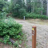 Review photo of Superior National Forest Fall Lake Campground by Scott M., July 1, 2020