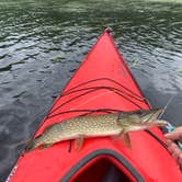 Review photo of Superior National Forest Fall Lake Campground by Scott M., July 1, 2020