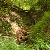 Review photo of Oak Ridge Morgan-Monroe State Forest by Ron H., June 14, 2020