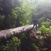 Review photo of Gold Bluffs Beach Campground — Prairie Creek Redwoods State Park by PATRICK S., July 2, 2016