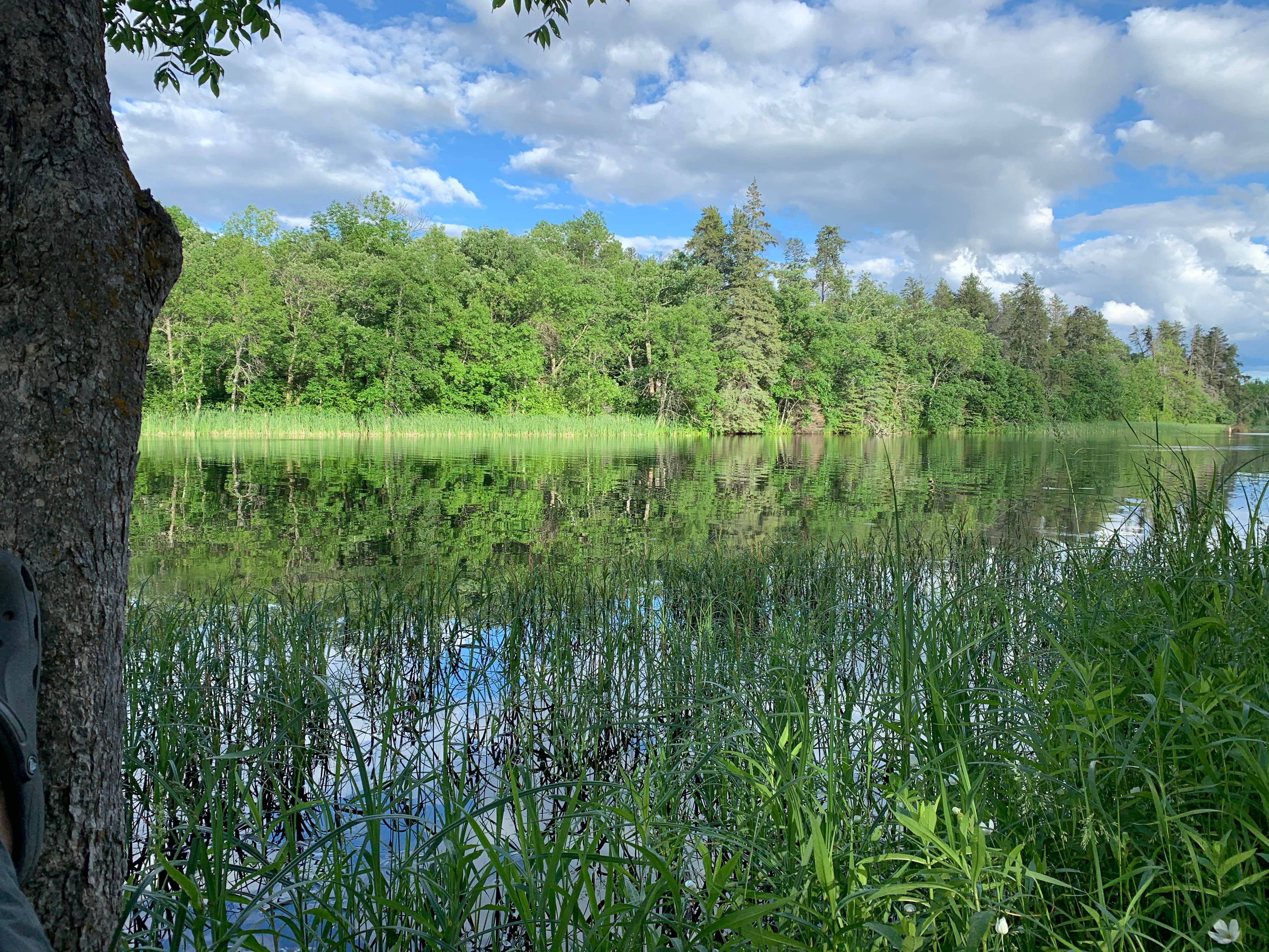 Camping near Birch Lake Campground & Backcountry Sites: Hillmans RV Park, Winton, Minnesota