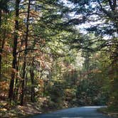 Review photo of Devils Fork State Park Campground by John F., November 3, 2017