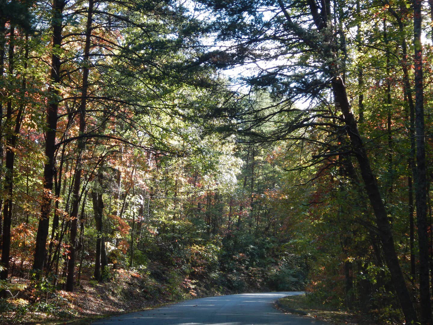 Camper submitted image from Devils Fork State Park Campground - 3