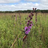 Review photo of Crow Hassan Park Reserve by Krista T., July 1, 2020