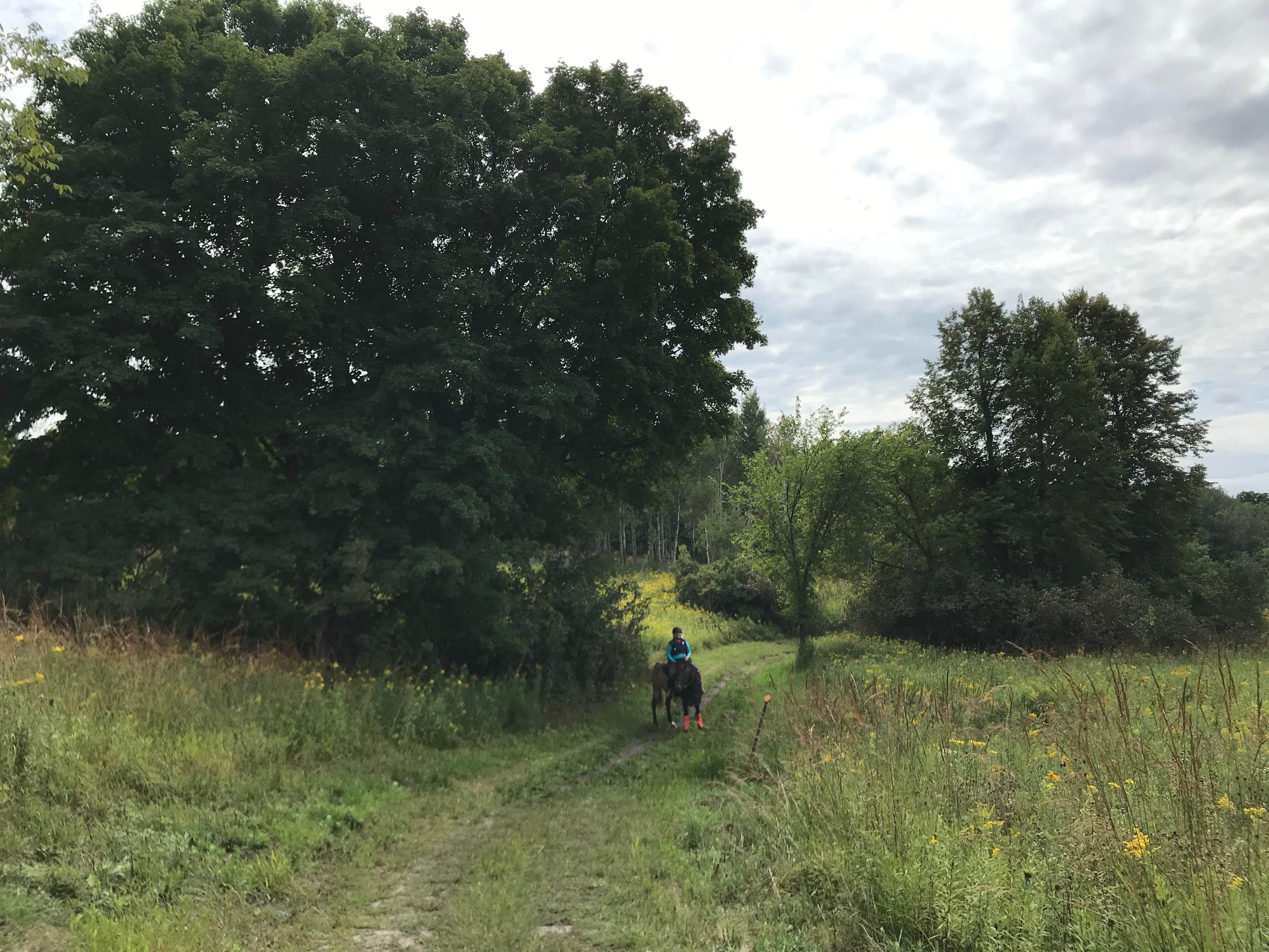 Krista T.'s photo of camping with a horse at Crow Hassan Park Reserve near Crystal, MN