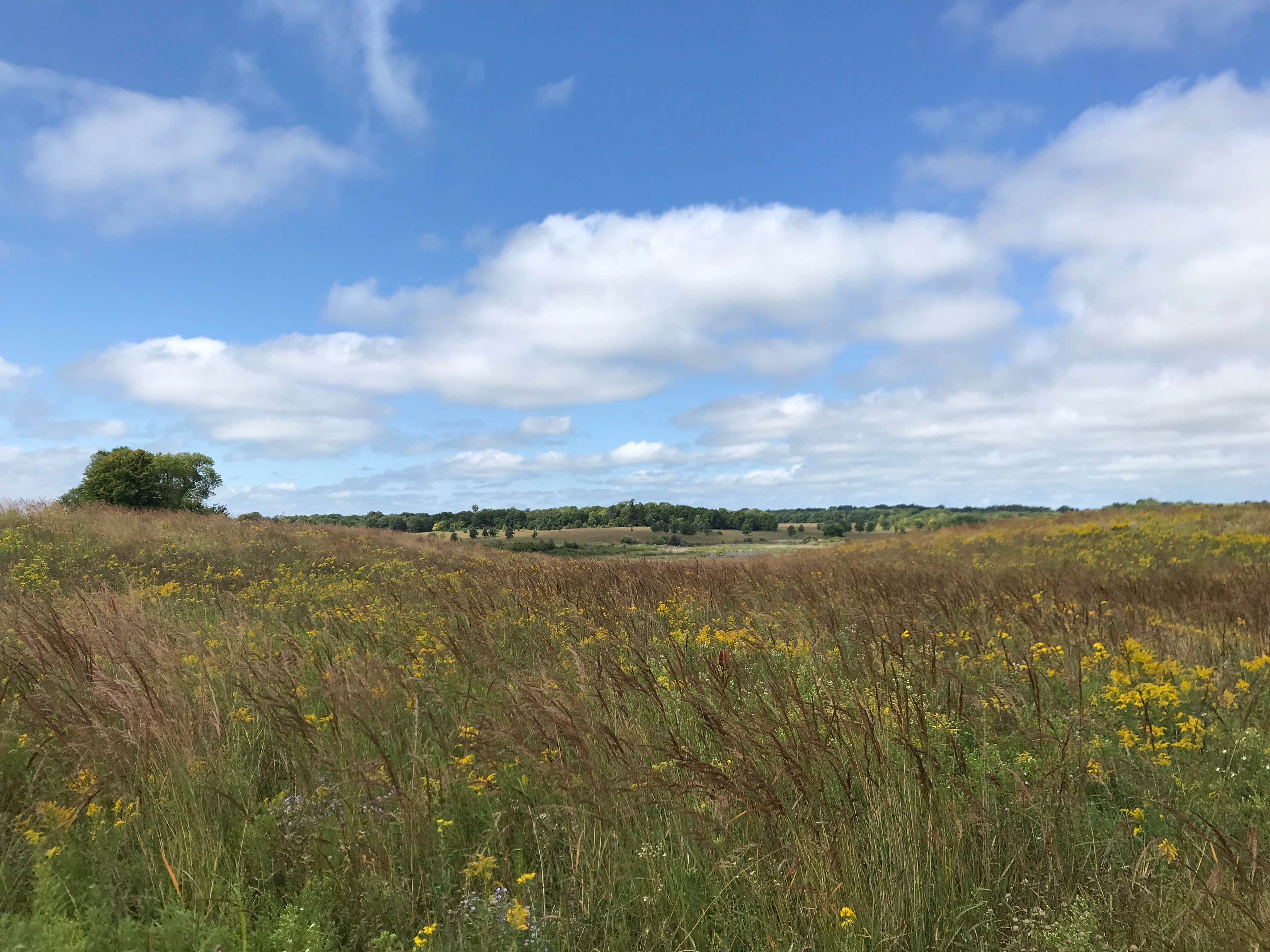 Camper-submitted photo at Crow Hassan Park Reserve near Savage, MN