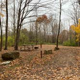 Review photo of Frontenac State Park Campground by Krista T., July 1, 2020