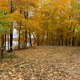 Review photo of Frontenac State Park Campground by Krista T., July 1, 2020