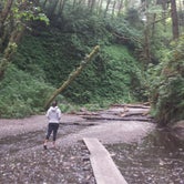 Review photo of Gold Bluffs Beach Campground — Prairie Creek Redwoods State Park by PATRICK  S., July 2, 2016