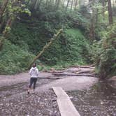 Review photo of Gold Bluffs Beach Campground — Prairie Creek Redwoods State Park by PATRICK S., July 2, 2016