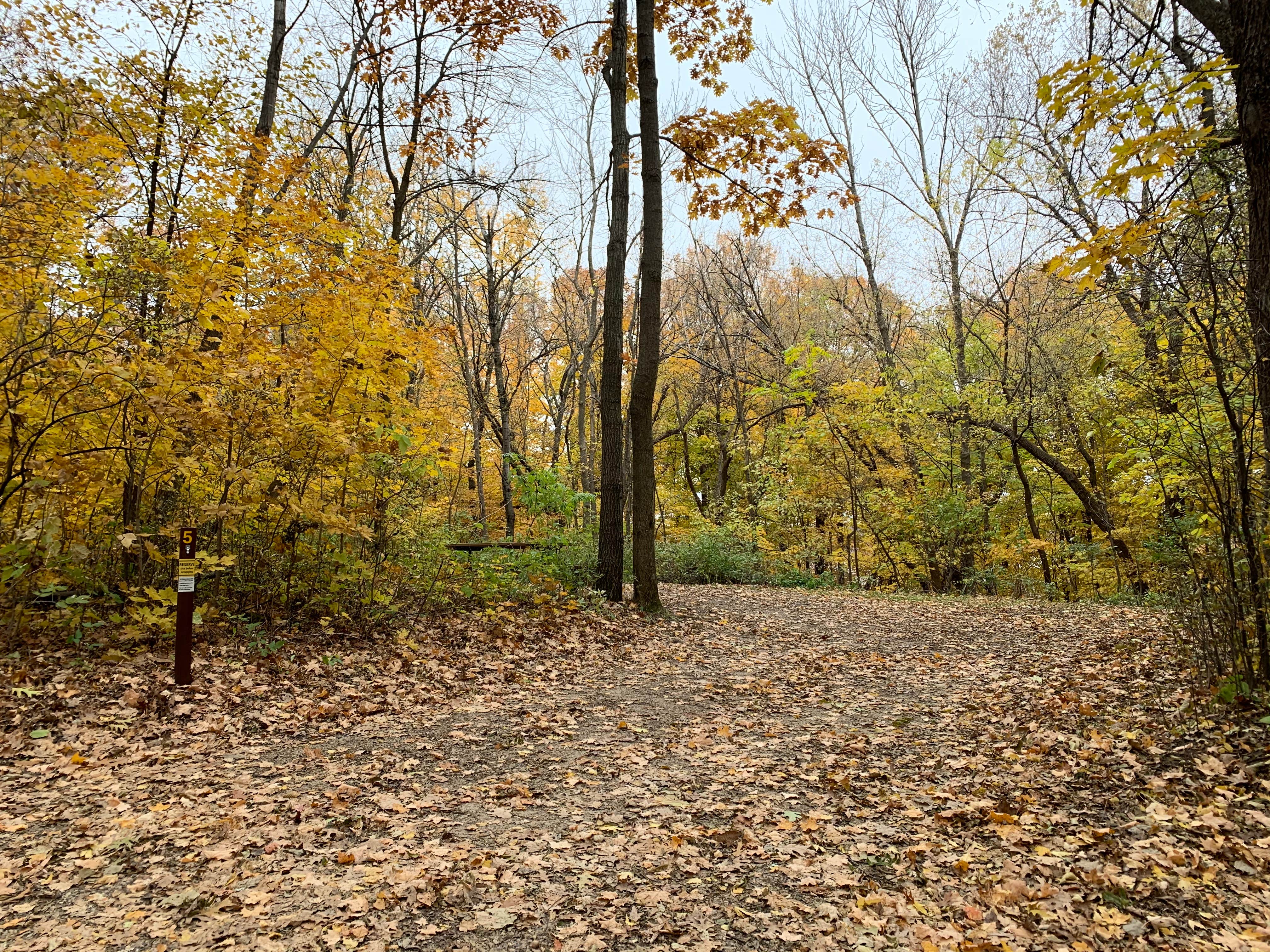 Camper-submitted photo at Frontenac State Park Campground near Alma, WI