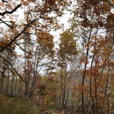 Review photo of Frontenac State Park Campground by Krista T., July 1, 2020