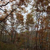 Review photo of Frontenac State Park Campground by Krista T., July 1, 2020