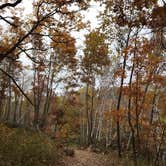 Review photo of Frontenac State Park Campground by Krista T., July 1, 2020