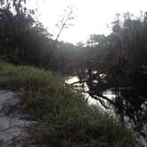 Review photo of Little Big Econ State Forest Primitive Camping - East Camp Zone by Samantha J., November 4, 2017