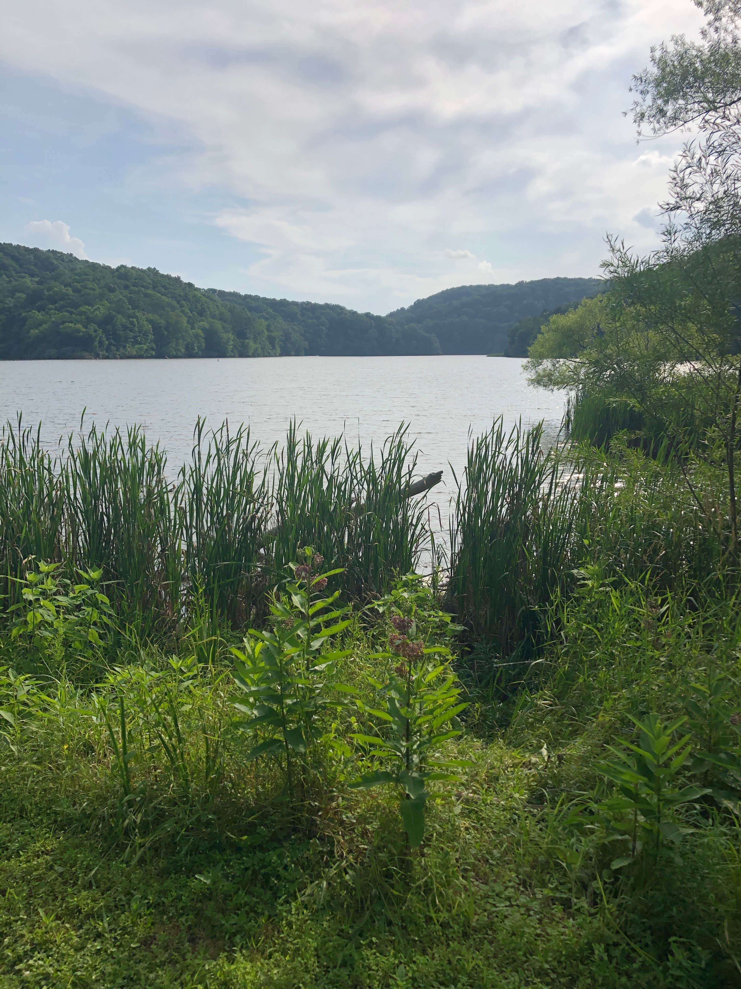 Camper-submitted photo at Lake View Campground — Beech Fork State Park near Wilsondale, WV