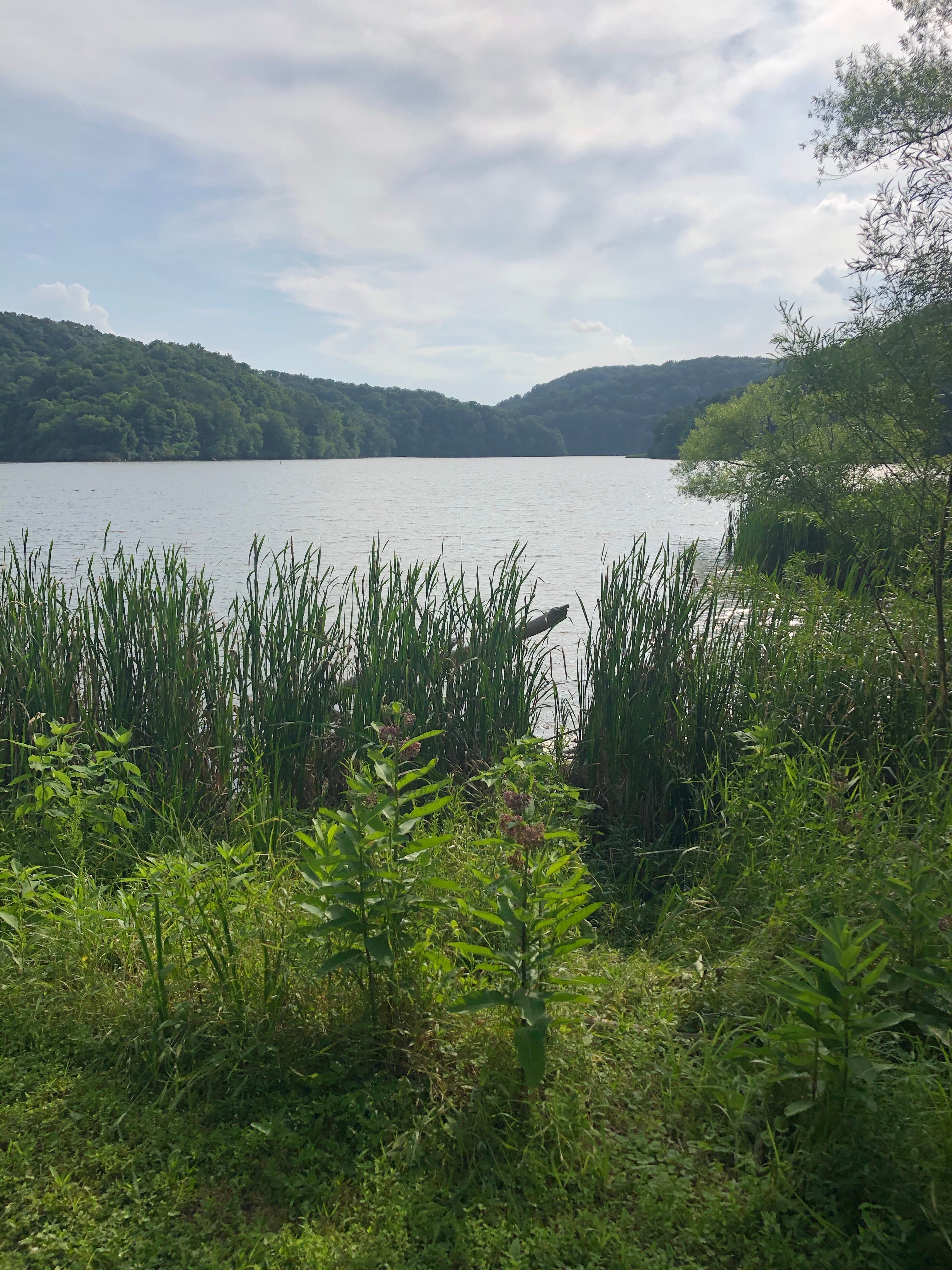 Camper submitted image from Lake View Campground — Beech Fork State Park - 5