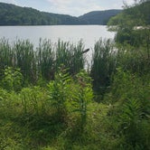 Review photo of Beech Fork State Park Campground by Todd S., July 1, 2020