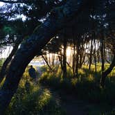 Review photo of Twin Harbors State Park Campground by Scott B., November 5, 2017