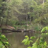 Review photo of Alum Creek State Park Campground by Renée C., March 10, 2020