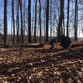 Review photo of Alum Creek State Park Campground by Renée C., March 10, 2020