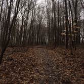 Review photo of Alum Creek State Park Campground by Renée C., March 10, 2020