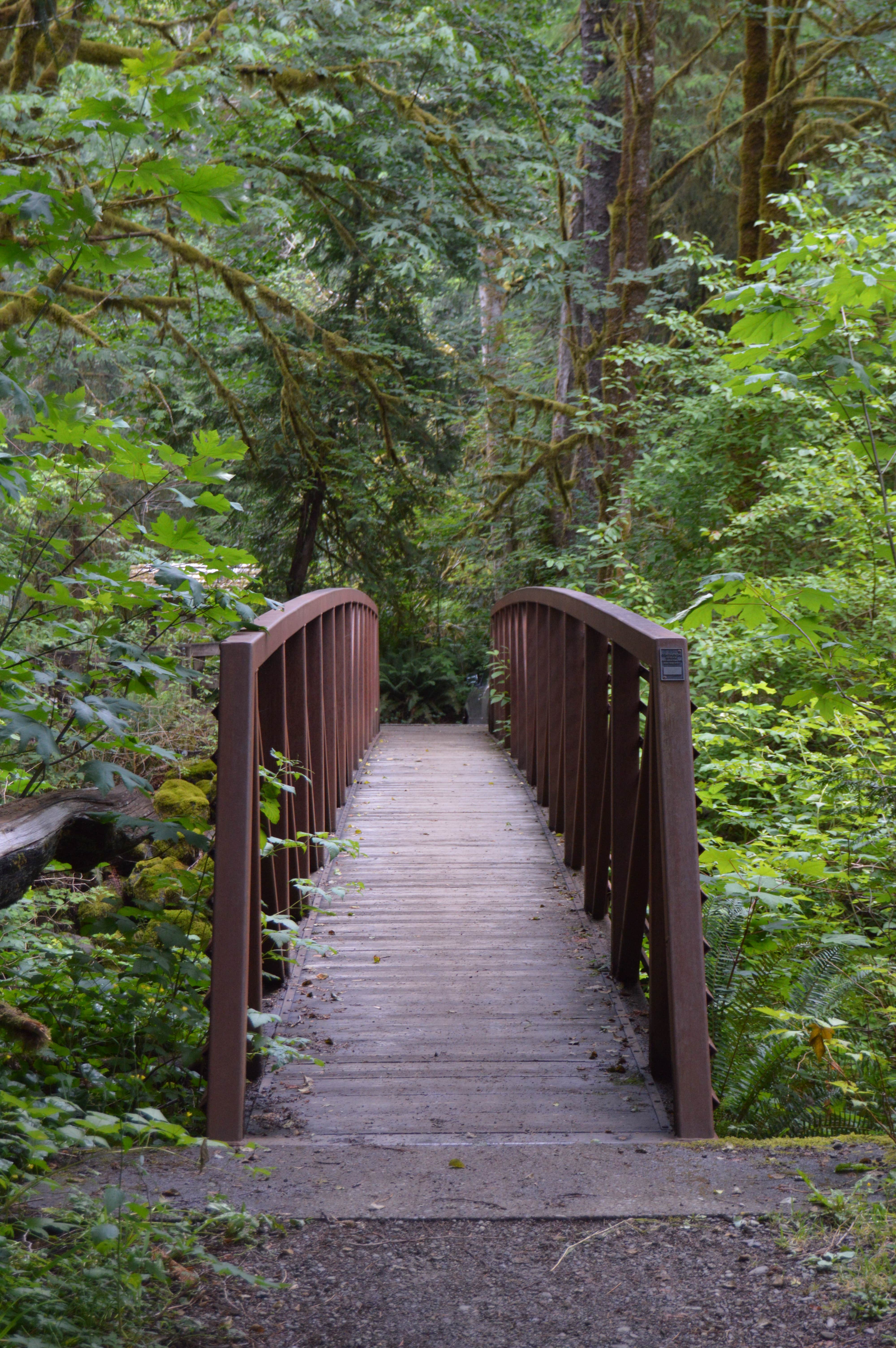 Falls Creek Campground Quinault, WA