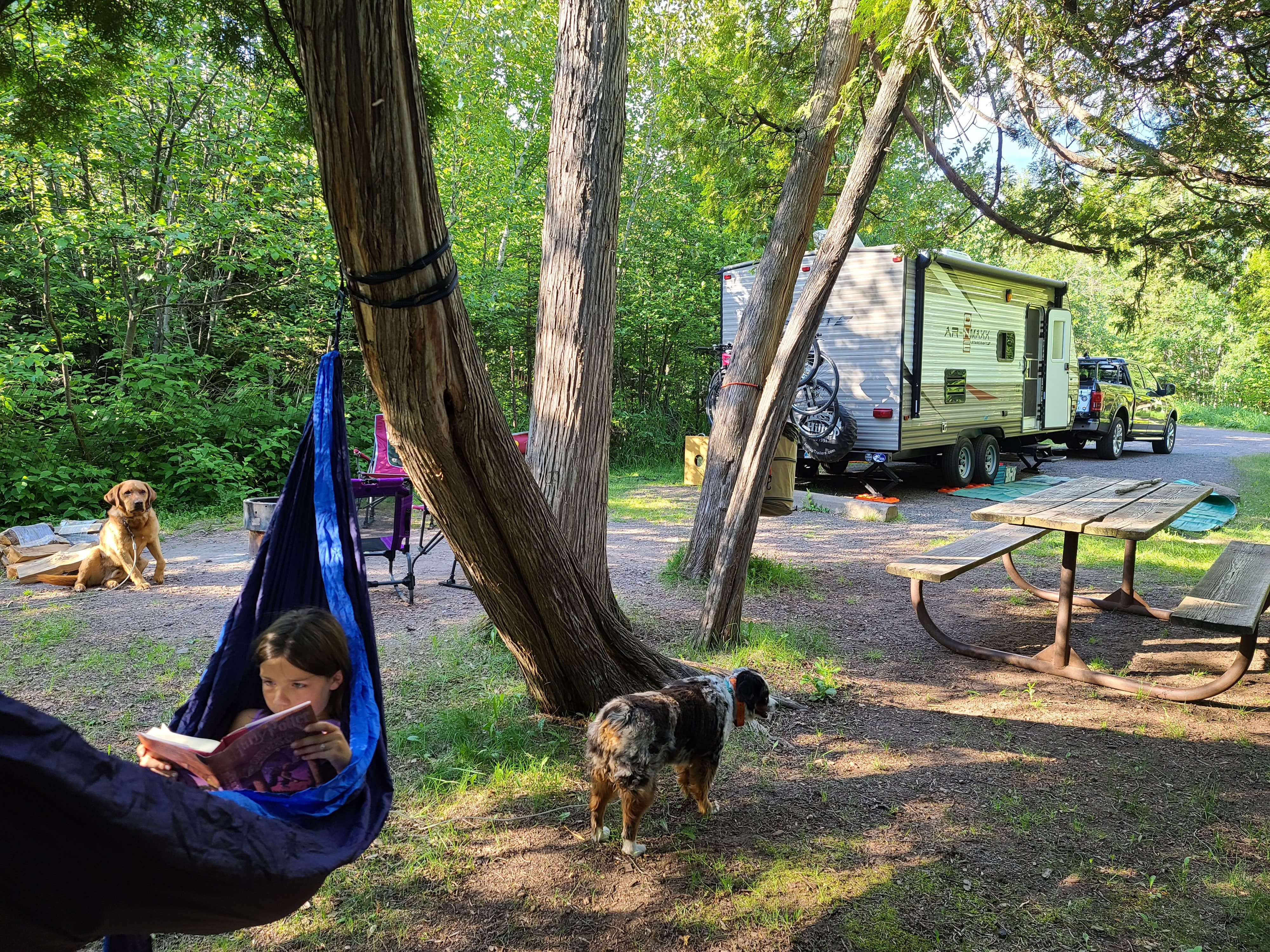 Melissa H.'s photo of camping with pets at Baptism River Campground — Tettegouche State Park in Minnesota
