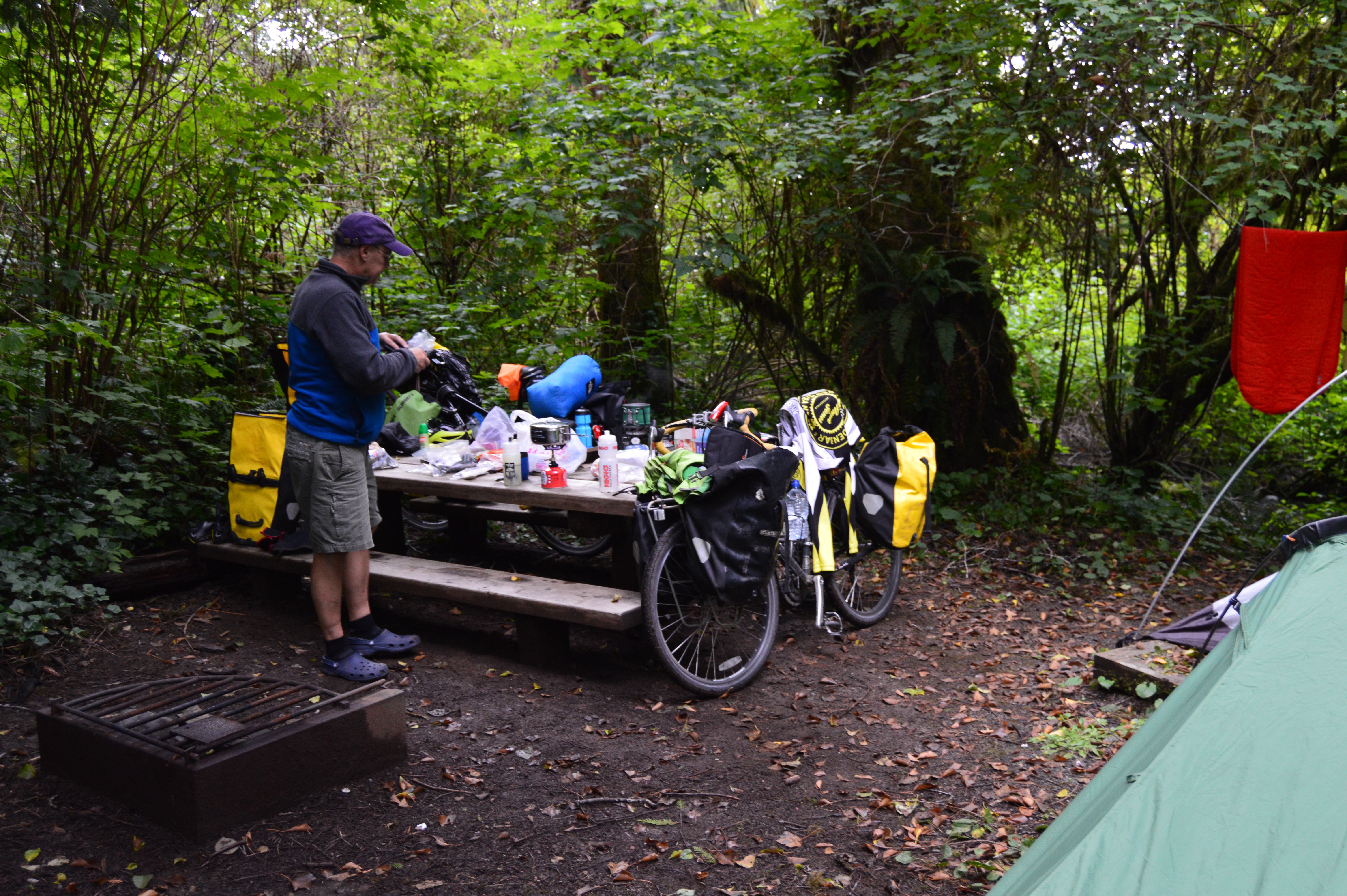 Decent sized campsite - enough room for 3 small tents plus our bikes