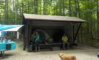 Sarah C.'s photo of camping with pets at Brighton State Park Campground in Vermont