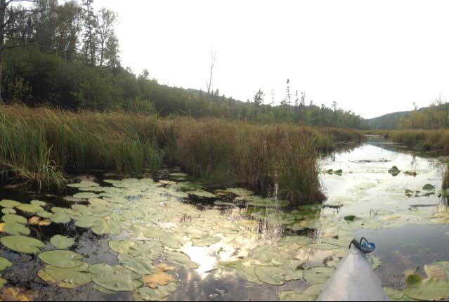 Camper submitted image from Gulch Lake - 2