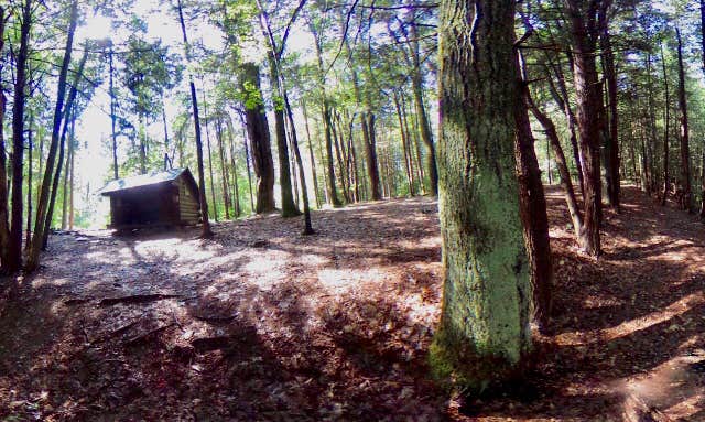 Camper submitted image from Ludlow Creek Lean-To Campsite - 3