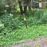 Review photo of Jay Cooke State Park Campground by Krista T., July 1, 2020