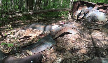 Zanesfield photo 5