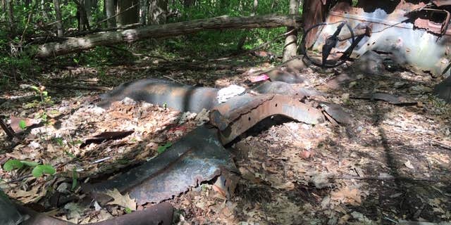 Camper submitted image from Alum Creek State Park Campground