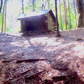 Review photo of Ludlow Creek Lean-To Campsite by Janet R., November 6, 2017