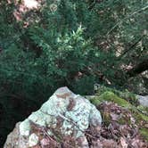 Review photo of Fall Creek Falls State Park Campground by Brittni F., July 1, 2020