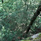 Review photo of Fall Creek Falls State Park Campground by Brittni F., July 1, 2020